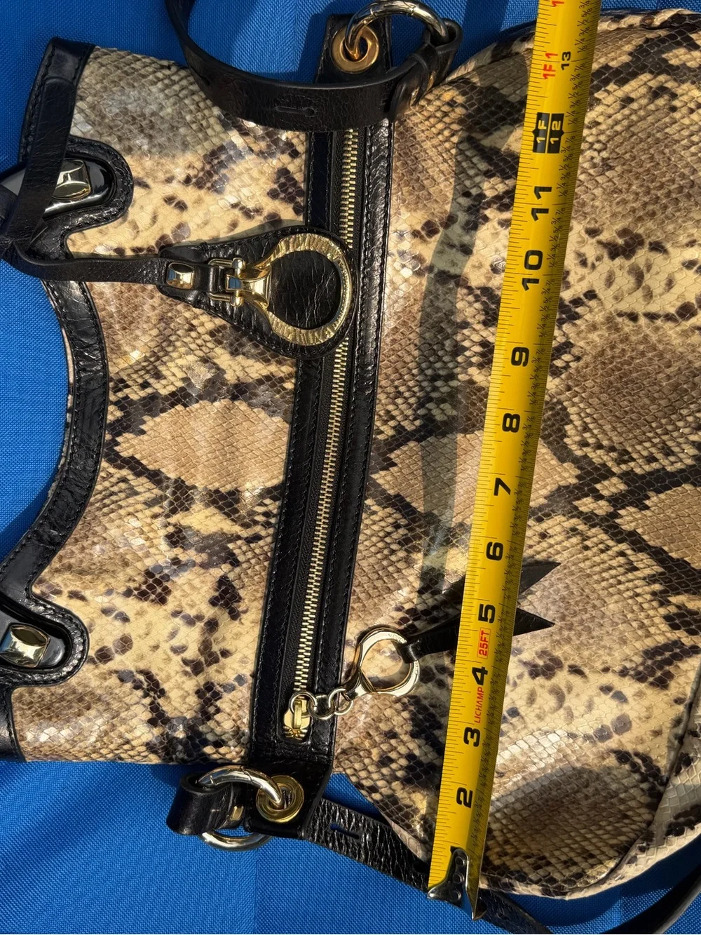 Beautiful Snake-Skin Shoulder Bag with Black Trim and Gold Hardware. Authentic